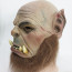 Ogrim Doomhammer Mask