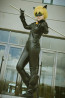 Miraculous Ladybug Cat Noir Complete Cosplay Costume For Adults