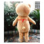 Giant Ted Bear Mascot Costume