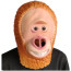 Missing Link Mr Link Mask - Mr Link Cosplay Costume Mask