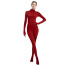 Zentai Costume - Bodysuit Zentai Cosplay