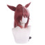 Urara Uma Musume Pretty Derby Tokai Teio - Teio Tokai Costume Wig Prop