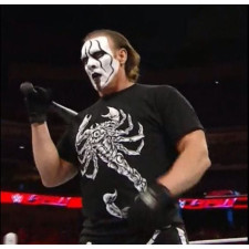 WWE Sting Costume - Scorpion T- Shirt Sting Cosplay