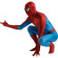 Spider-Man 1994 Spider-man Costume - Fullsuit Spider-Man Cosplay