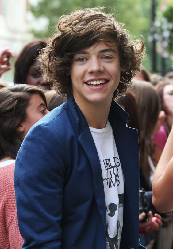 Harry Styles Wig - Curly Brown Wig Harry Styles Cosplay Costume