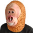 Missing Link Mr Link Mask - Mr Link Cosplay Costume Mask
