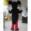 Giant Mickey and Minnie Mouse Mascot Costume Set