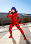 Miraculous Ladybug Complete Cosplay Costume