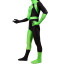 Kim Possible Shego Green Costume