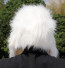 Poddle Dog Costume Mask