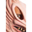 Adam Maitland Beetlejuice Cosplay Mask