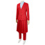 The Hunger Game Coriolanus Snow Costume - President Snow Cosplay