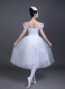 LED Butterfly Ballet Ballerina Costume