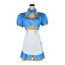 The Legend of Zelda Breath of the Wild Princess Zelda Costume - Blue Dress Princess Zelda Cosplay