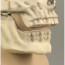 Skull Mask Costume