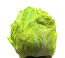 Cabbage Monster Face Mask Costume