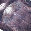 Boys King Kong Cosplay Costume