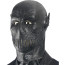 Zoom Complete Cosplay Costume