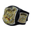 WWE World Champion Belt Cosplay Costume Prop