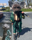 Black Myth: Wukong Zhu Bajie Costume - Robe Skirt Set Zhu Bajie Cosplay