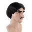 Addams Family Gomez Addams Wig and Moustache - Gomez Addams Cosplay Costume Wig Prop