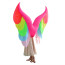 Rainbow Wings Inflatable Costume - Rainbow Wings Cosplay