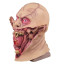Guillermo Del Toro's Cabinet Of Curiosities Ghoul Mask - Ghoul Cosplay Costume Mask