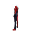 Jester Harley Quinn Comics Style Lycra Cosplay Costume