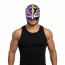 WWE Rey Mysterio Mask Prop - Purple Black Rey Mysterio Costume Cosplay Mask