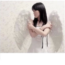 Angel Wings Cosplay .5 Meter Wide