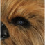 Chewbacca Star Wars Mask Cosplay Costume