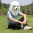 White Dog Furry Mask - White Dog Cosplay Costume Mask Prop