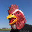 Rooster Mask Costume