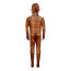 Highland Cattle Costume - Full Bodysuit Mask Highland Cattle Cosplay