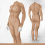 Woman Muscle Suit Costume - Chai Bodysuit Women's Muscle Suit Cosplay