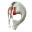Darth Nihilus Mask Star Wars Cosplay Costume