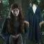 Catelyn Stark Costume