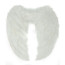 Angel Wings Cosplay 1 Meter Wide