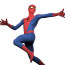 The Spectacular Animated Series Spider-Man Costume - Bodysuit Mask Spider Man Cosplay