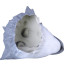 The Bad Guys Mr. Wolf Cosplay Mask